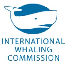 iwc company history|when did whaling begin.